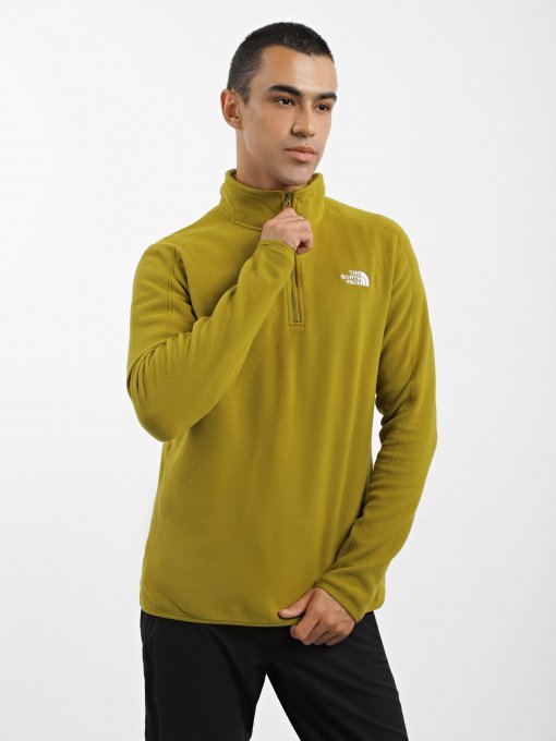 Худи и свитшоты The North Face Resolve 1/4 Zip Fleece модель NF0A4M9TI0N1 Фото