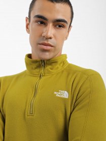 Худі та світшоти The North Face Resolve 1/4 Zip Fleece модель NF0A4M9TI0N1 Фото