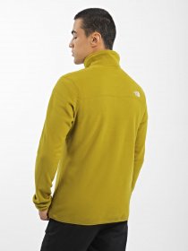 Худі та світшоти The North Face Resolve 1/4 Zip Fleece модель NF0A4M9TI0N1 Фото