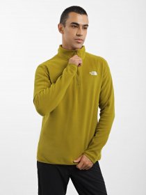 Худі та світшоти The North Face Resolve 1/4 Zip Fleece модель NF0A4M9TI0N1 Фото