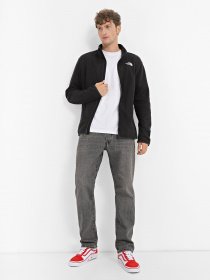 Худи и свитшоты The North Face 100 Glacier Full Zip модель NF0A855XJK31 Фото