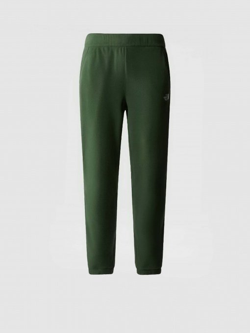 Брюки The North Face 100 Glacier модель NF0A8561I0P1 Фото