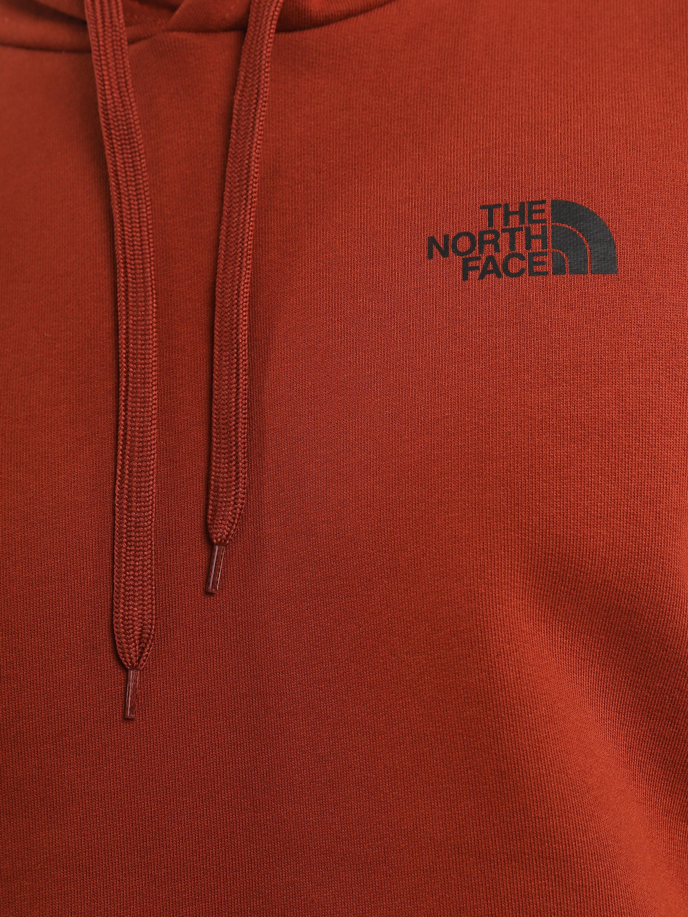 Худі та світшоти The North Face Seasonal Drew Peak модель NF0A2TUVUBC1 Фото