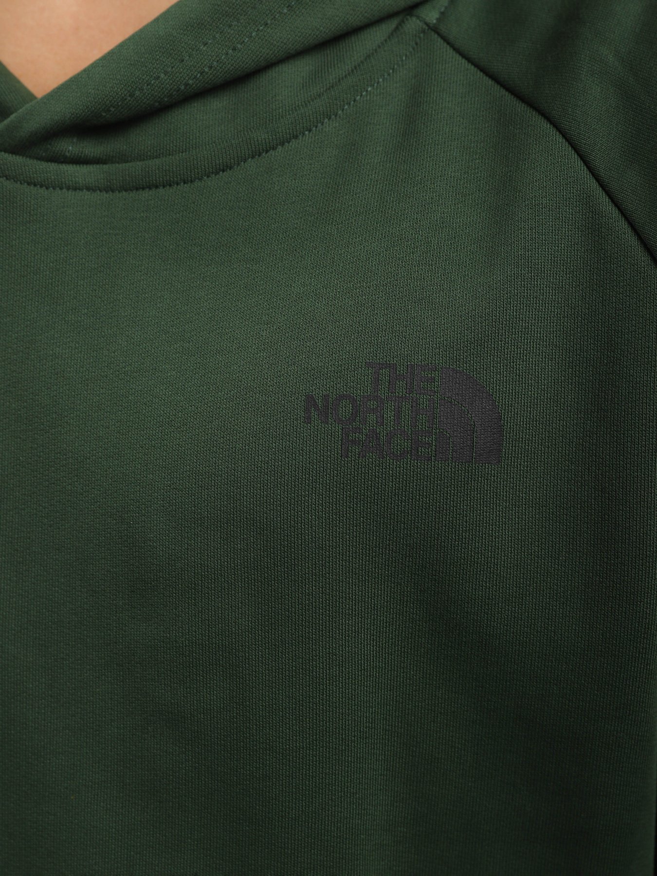 Худи и свитшоты The North Face Redbox модель NF0A2ZWUI0P1 Фото