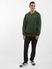 Худи и свитшоты The North Face Redbox модель NF0A2ZWUI0P1 Фото