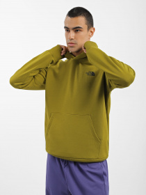 Худі та світшоти The North Face Redbox модель NF0A2ZWUI0N1 Фото