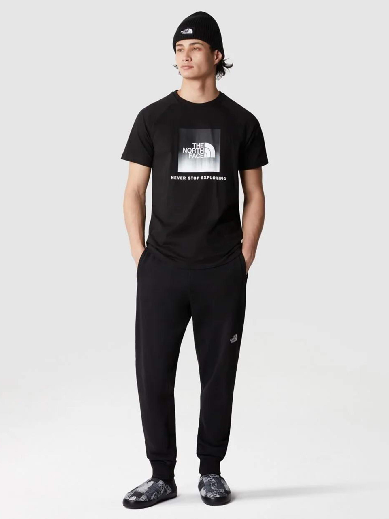 Футболки і поло The North Face Raglan Redbox модель NF0A3BQOO4M1 Футболки і поло The North Face Raglan Redbox модель NF0A3BQOO4M1 Фото