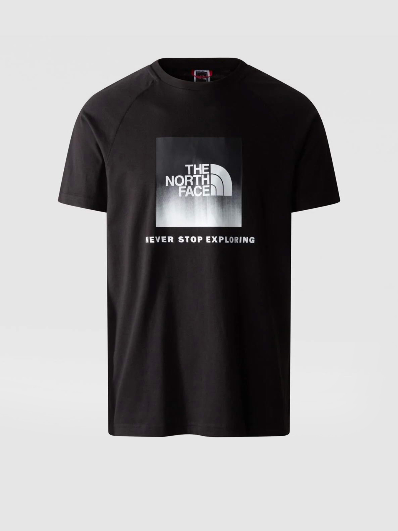 Футболки і поло The North Face Raglan Redbox модель NF0A3BQOO4M1 Футболки і поло The North Face Raglan Redbox модель NF0A3BQOO4M1 Фото