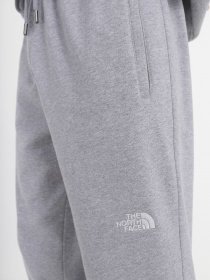Брюки The North Face Nse Outdoor модель NF0A4SVQDYX1 Фото