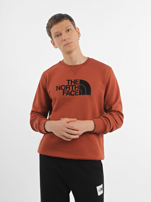 Худи и свитшоты The North Face Drew Peak Crew Neck модель NF0A4SVRUBC1 Фото