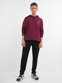 Худі та світшоти The North Face Fine Hoodie Arrowwood модель NF0A5ICXI0H1 Фото