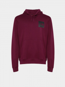 Худі та світшоти The North Face Fine Hoodie Arrowwood модель NF0A5ICXI0H1 Фото