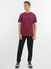 Штани The North Face Logo Printed модель NF0A827GJK31 Фото