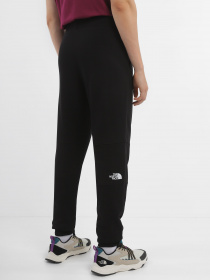 Штани The North Face Logo Printed модель NF0A827GJK31 Фото