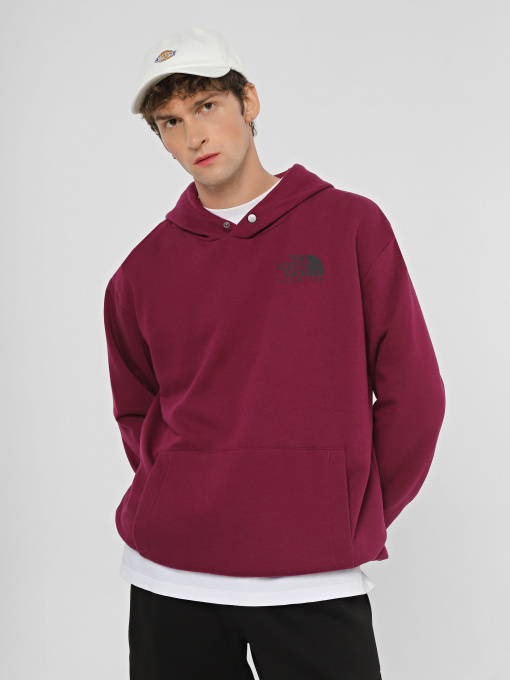 Худі та світшоти The North Face Coordinates  модель NF0A853ZI0H1 Фото
