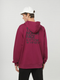 Худи и свитшоты The North Face Coordinates модель NF0A853ZI0H1 Фото
