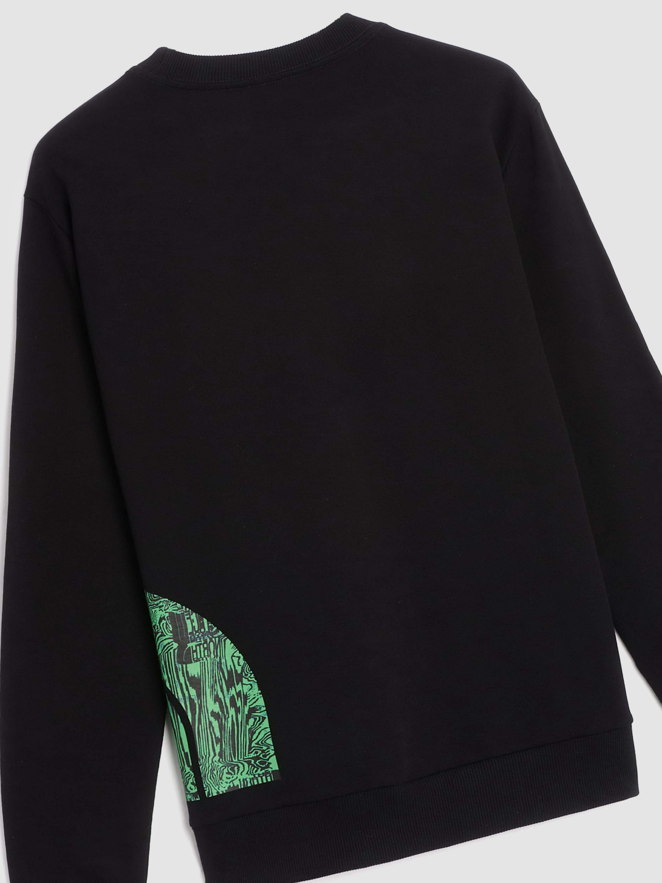 Худи и свитшоты The North Face Logo Printed Crewneck модель NF0A854AJK31 Фото