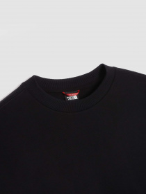 Худи и свитшоты The North Face Logo Printed Crewneck модель NF0A854AJK31 Фото