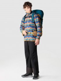 Штани The North Face Dryzzle FUTURELIGHT™ Full Zip модель NF0A4AHLJK31 Фото