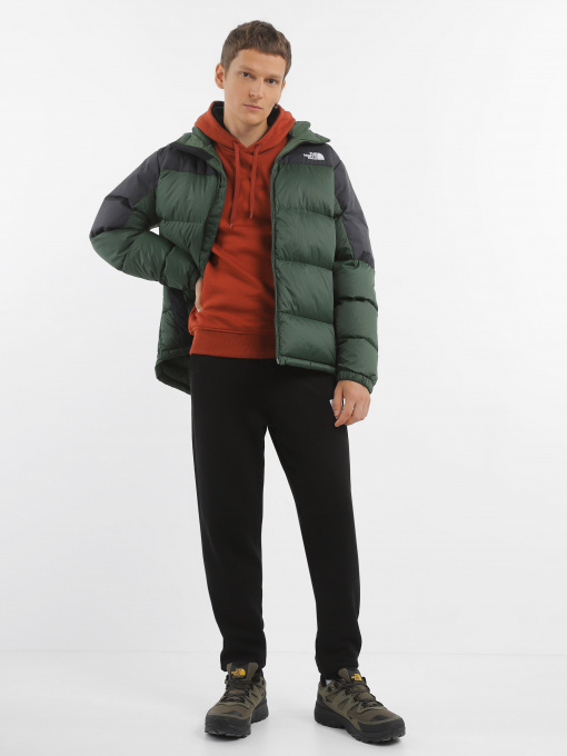 Куртки та дублянки The North Face Diablo модель NF0A4M9LKII1 Фото