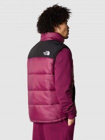 Куртки та дублянки The North Face HIMALAYAN INSULATED модель NF0A4QZ4KK91 Фото