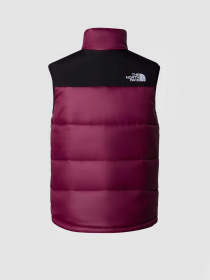 Куртки та дублянки The North Face HIMALAYAN INSULATED модель NF0A4QZ4KK91 Фото