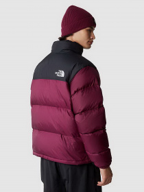 Куртки та дублянки The North Face 1996 Nuptse модель NF0A3C8DKK91 Фото
