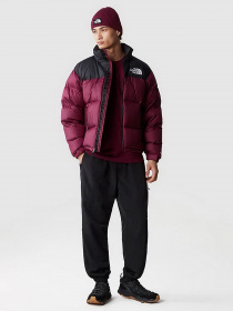 Куртки та дублянки The North Face 1996 Nuptse модель NF0A3C8DKK91 Фото
