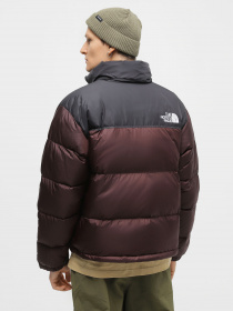 Куртки и дубленки The North Face 1996 Nuptse модель NF0A3C8DLOS1 Фото