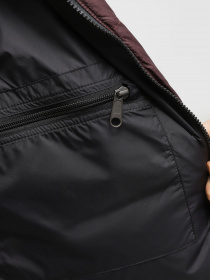 Куртки и дубленки The North Face 1996 Nuptse модель NF0A3C8DLOS1 Фото