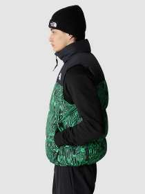 Куртки та дублянки The North Face 1996 RETRO NUPTSE GILET модель NF0A3JQQOSZ1 Фото