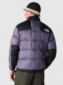 Куртки та дублянки The North Face LHOTSE модель NF0A3Y23N141 Фото