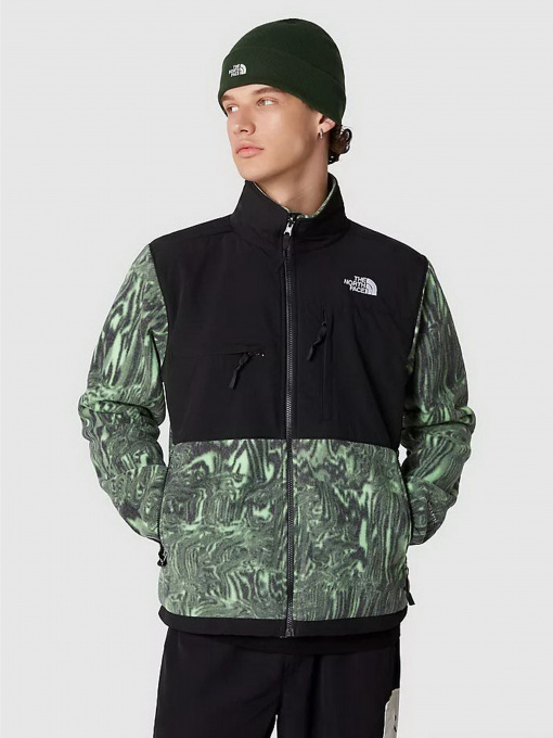 Худи и свитшоты The North Face DENALI модель NF0A7UR2OSZ1 Фото