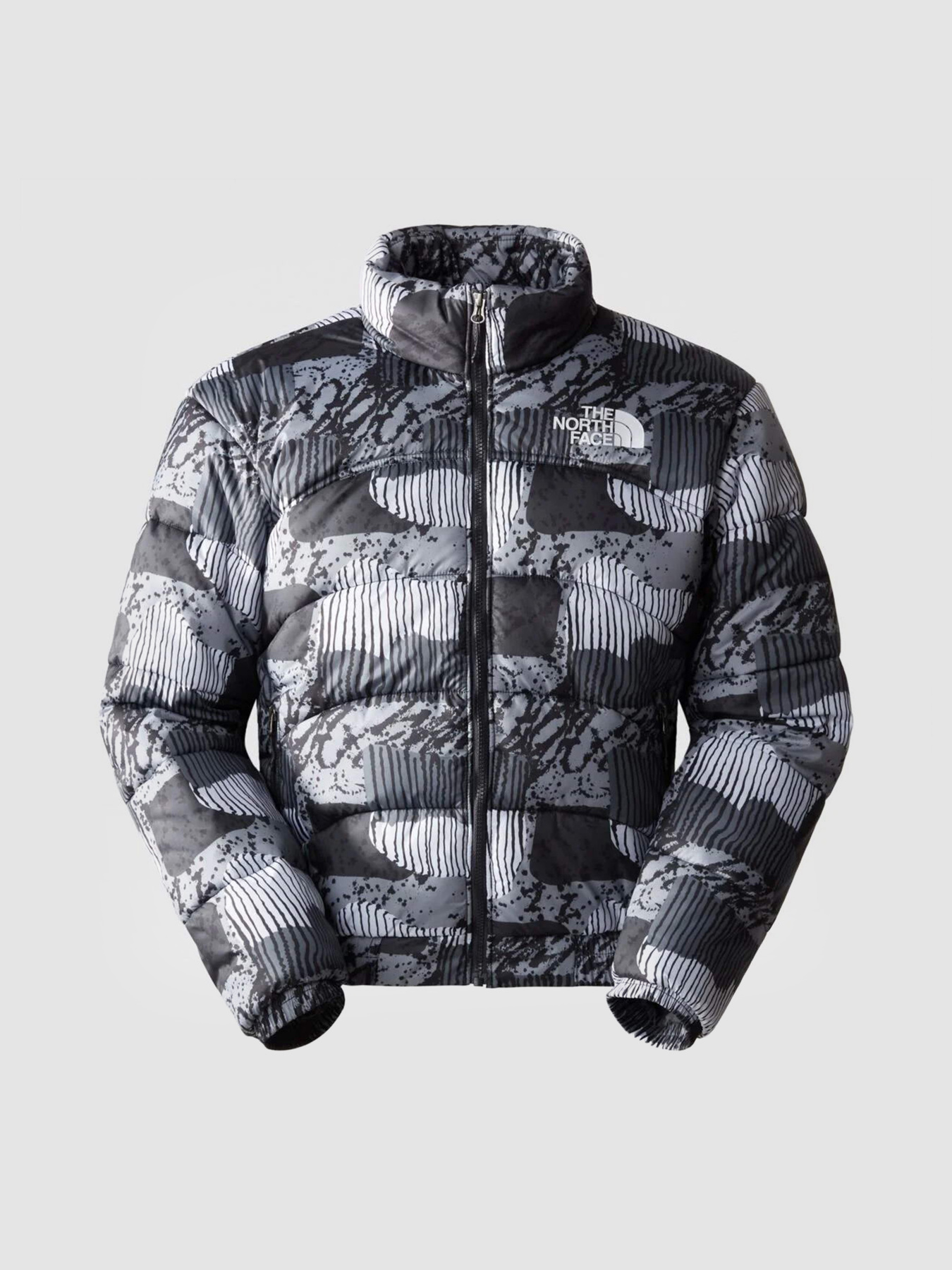 Куртки и дубленки The North Face 2000 Synthetic Puffer модель NF0A7UREONZ1 Фото