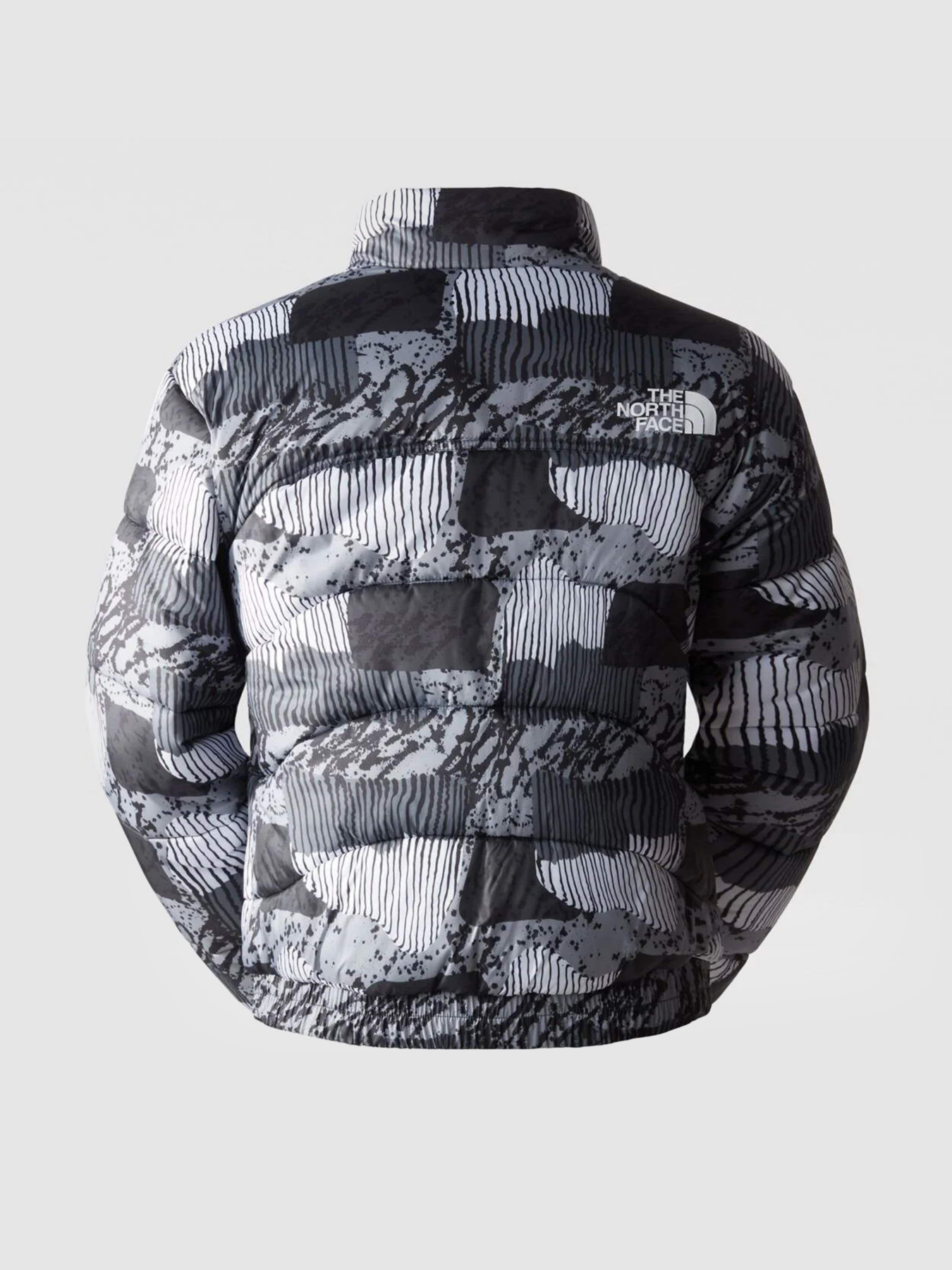 Куртки и дубленки The North Face 2000 Synthetic Puffer модель NF0A7UREONZ1 Фото