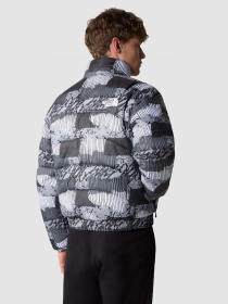 Куртки и дубленки The North Face 2000 Synthetic Puffer модель NF0A7UREONZ1 Фото