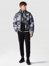 Куртки и дубленки The North Face 2000 Synthetic Puffer модель NF0A7UREONZ1 Фото
