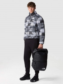 Куртки и дубленки The North Face 2000 Synthetic Puffer модель NF0A7UREONZ1 Фото