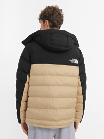 Куртки та дублянки The North Face 100 GLACIER FULL-ZIP FLEECE модель NF0A7WZYLK51 Фото