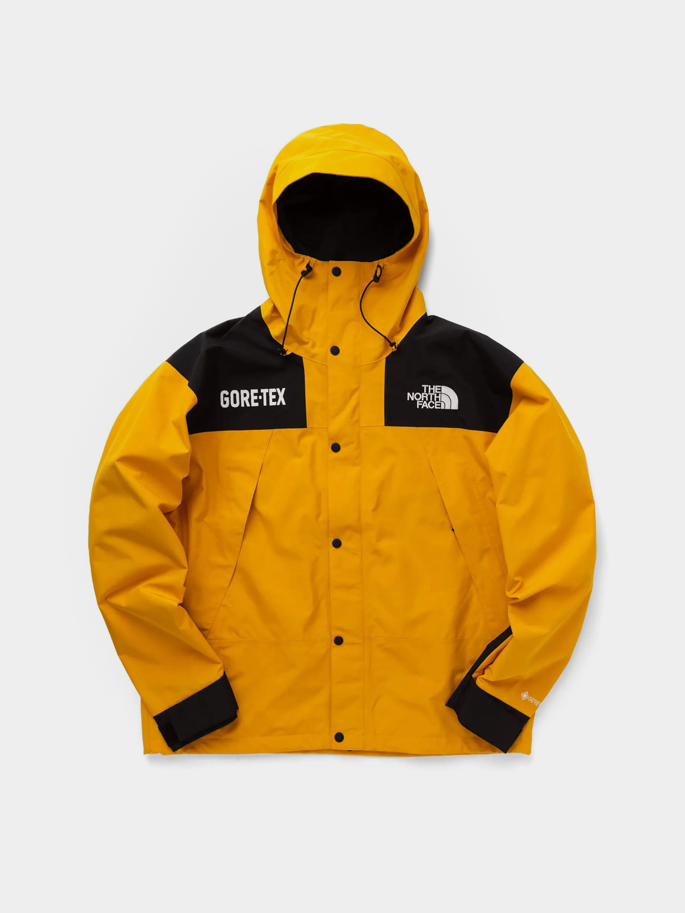 Куртки та дублянки The North Face GTX Mountain Guide Insulated модель NF0A831MZU31 Куртки та дублянки The North Face GTX Mountain Guide Insulated модель NF0A831MZU31 Фото