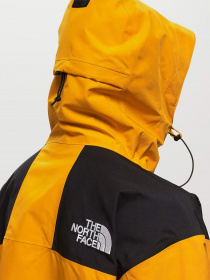 Куртки та дублянки The North Face GTX Mountain Guide Insulated модель NF0A831MZU31 Фото