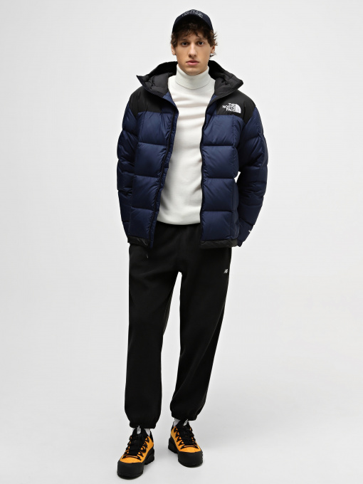 Куртки и дубленки The North Face Lhotse модель NF0A853C92A1 Фото