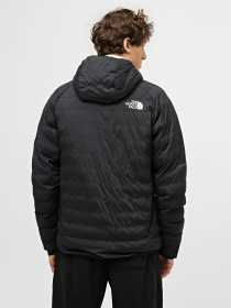 Куртки та дублянки The North Face Dawn Turn 50/50 Synthetic модель NF0A7Z8OUG31 Фото