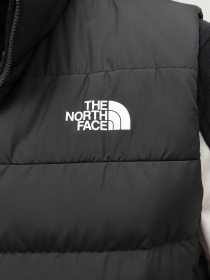 Куртки та дублянки The North Face Aconcagua 3 модель NF0A84IK0C51 Фото