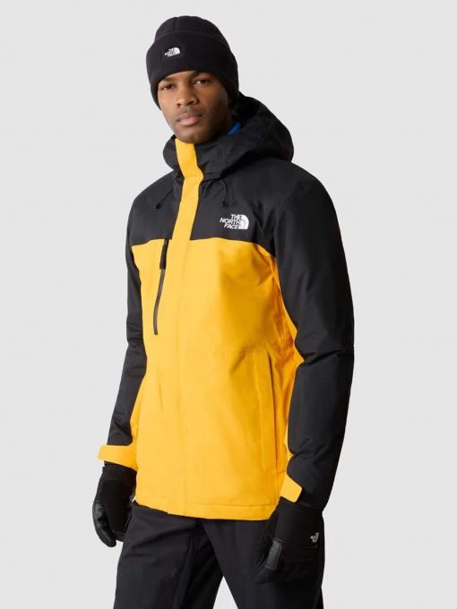 Куртки и дубленки The North Face Freedom модель NF0A82VUZU31 Фото
