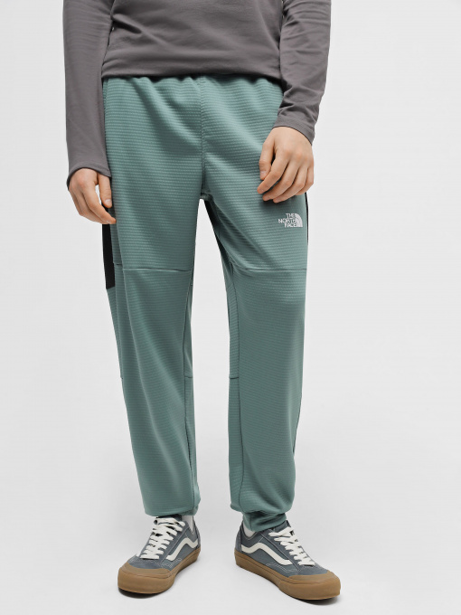 Брюки The North Face MA Fleece модель NF0A823UONO1 Фото