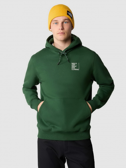 Худи и свитшоты The North Face Outdoor Graphic модель NF0A8522I0P1 Фото