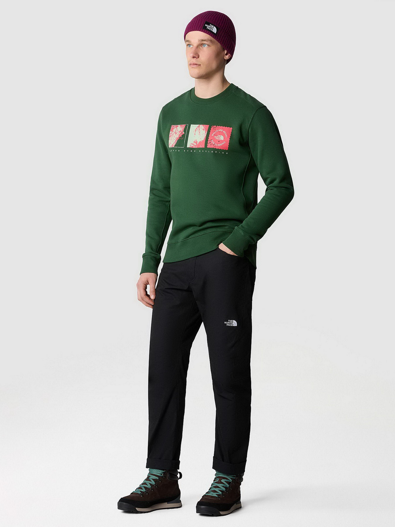 Худі та світшоти The North Face Outdoor Graphic Crew модель NF0A8523I0P1 Фото