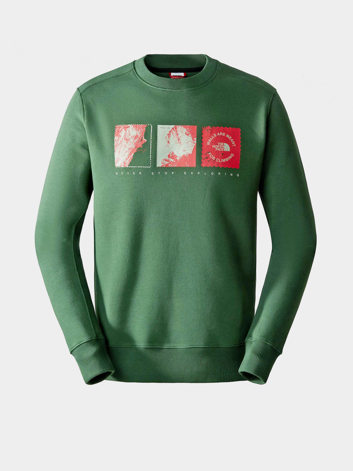 Худі та світшоти The North Face Outdoor Graphic Crew модель NF0A8523I0P1 Фото