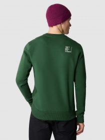 Худі та світшоти The North Face Outdoor Graphic Crew модель NF0A8523I0P1 Фото
